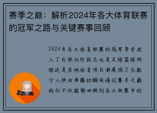 赛季之巅：解析2024年各大体育联赛的冠军之路与关键赛事回顾